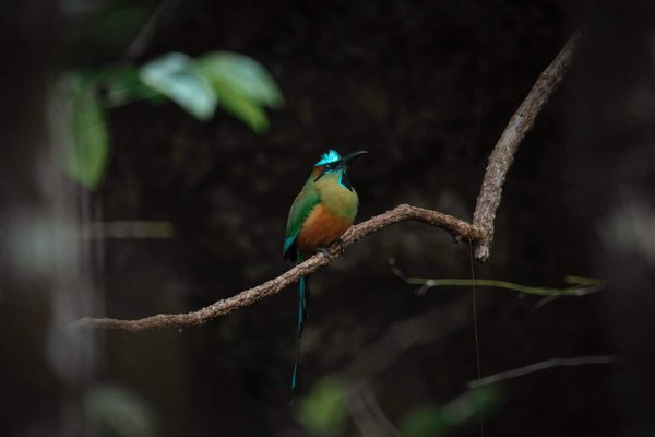 Can AI-Based Smart Grid Technology Help UK Households Save on Energy Costs?