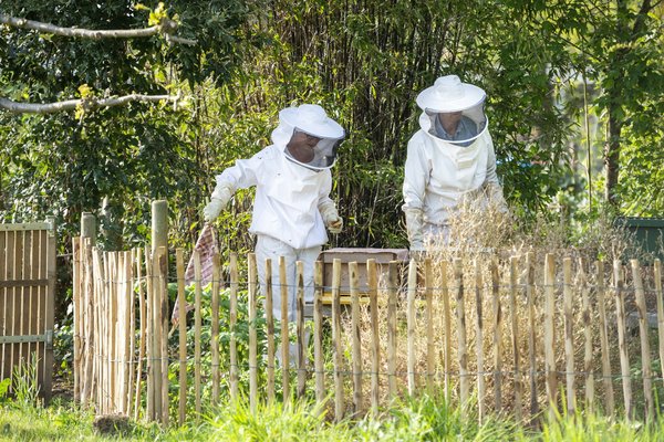 What Are the Architectural Trends for Energy-Efficient Hospital Design?