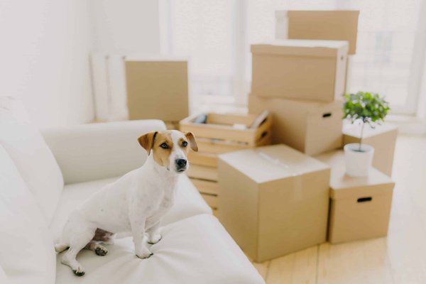 How to Create a Cozy Window Seat with Storage in a Bay Window?