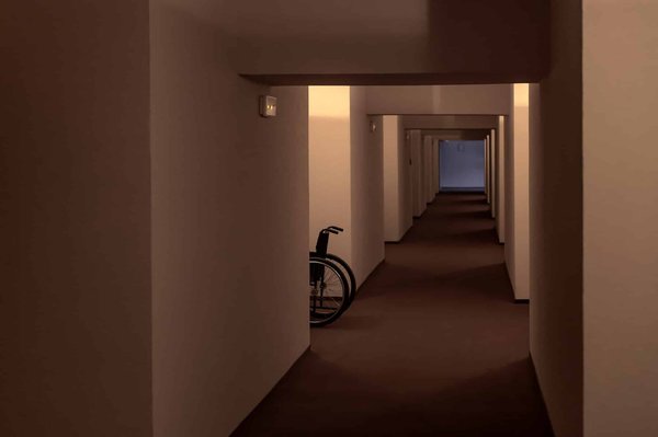 How Can Urban Wildlife Corridors Help to Protect Native Species in the UK?